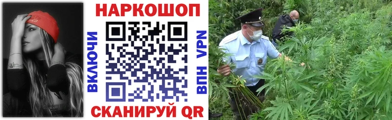 Меф Николаевск