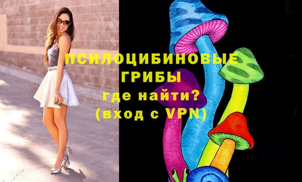 соль курить ск Кукмор