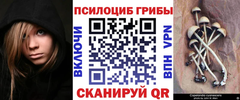 Псилоцибиновые грибы Magic Shrooms  где найти   Николаевск 