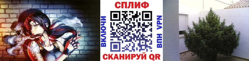 МАРИХУАНА тримм  купить   Николаевск 